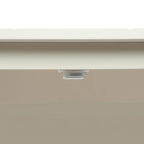 Armadio contenitore a 2 ante grigio / bianco sporco / nero – Stile vintage, utente singolo